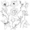 Vector black linear set of lily, anemone and rose. Hand painted meadow flowers and leaves isolated on white background