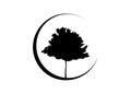 Vector black maple tree silhouette. Ecology Organic Farm Logo design Vector isolated or white background Royalty Free Stock Photo
