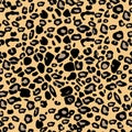 Vector black and orange leopard spots seamless pattern texture backgound. Classic animal print perfect for wallpaper