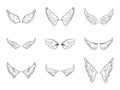 Vector Black Outline Wing Icon Set Isolated on White Background. Linear Vintage Wings, Icons, Design Template, Clipart Royalty Free Stock Photo
