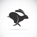 Vector of black rabbit is running on white background. Animal.