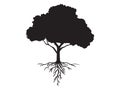 Vector black shape silhouette of a tree with roots