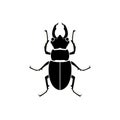 Vector black silhouette beetle