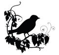 Vector black silhouette birdie and flower composition