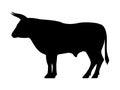 Vector black silhouette of a bull