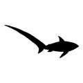 Vector Black Silhouette of Common Thresher Shark. Alopias Pelagicus Illustration Royalty Free Stock Photo