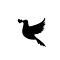 Vector black silhouette of flying dove with heart in beak on white