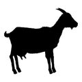 Vector Black Silhouette of Goat