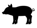 Vector black silhouette of a little piggy Royalty Free Stock Photo