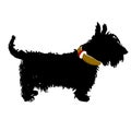 Vector black silhouette of a Scottish terrier dog on a white background. Royalty Free Stock Photo