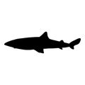 Vector Black Silhouette of Spiny Dogfish. Squalus Acanthias Royalty Free Stock Photo