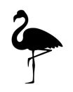 Vector black silhouette of a flamingo bird. Royalty Free Stock Photo