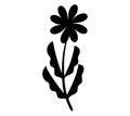 Vector black silhouettes of flowers isolated on a white background, illustration Royalty Free Stock Photo