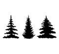 Vector black silhouettes of forest trees isolated on white Royalty Free Stock Photo
