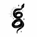 Vector black snake with mystical magic objects