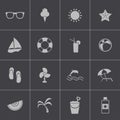 Vector black summer icons set Royalty Free Stock Photo