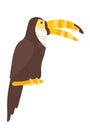 Vector black toucan clip art in flat style. Beautiful tropical bird with a long yellow beak. Exotic toucan for minimal flat design