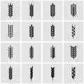 Vector black wheat ear icon set