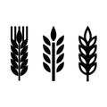 Vector black wheat ear spica icons set Royalty Free Stock Photo