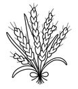 Vector black and white autumn cereals bouquet