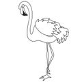 Vector Black and White Beautiful Elegant Flamingo