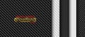 Vector black and white carbon fiber seamless background set. Textures collection Royalty Free Stock Photo
