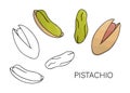 Vector black and white and colored pistachio icon. Set of isolated nuts. Food illustration in cartoon or doodle style isolated on Royalty Free Stock Photo