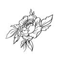 Vector black white contour simple sketch of peony flower.