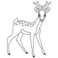 Vector Cute Cartoon Deer