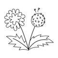 Vector black and white dandelion icon. First blooming plant outline illustration. Floral clip art or coloring page. Cute spring