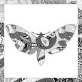 Vector black and white Death\'s-head Hawkmoth illustration Royalty Free Stock Photo