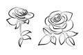 Vector black and white flowers roses