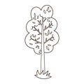 Vector black and white garden or forest tree icon
