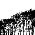 Vector black and white high trees' silhouettes design element