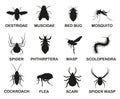 Vector black and white icons of various insects. Insects that harm people