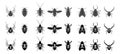 Vector black and white icons of various insects. Insects that harm people