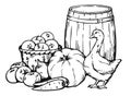 Vector black and white illustration. Rustic still life with pumpkin, apples, carrots, beets, wicker basket, wooden