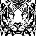 Vector black and white illustration isolated on white. Stylized face of a tiger Royalty Free Stock Photo