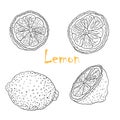 Vector black and white illustration with lemons. Slice, half, whole lemon. Set of hand-drawn Doodle-style Elements. Isolated on Royalty Free Stock Photo