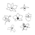 Vector black and white illustration of line orchid set Royalty Free Stock Photo