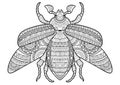 Vector black and white image of a bug on white background. Hand drawn contour-outline insect for coloring pades for adult or