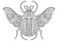 Vector black and white image of a bug on white background. Hand drawn contour-outline insect for coloring pades for adult or tatt