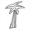Vector black and white a palm tree . Royalty Free Stock Photo