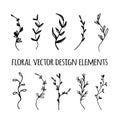 Vector Leaves Silhouette. Floral Design Elements. Royalty Free Stock Photo