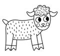 Vector black and white kid goat icon. Cute cartoon line illustration for kids. Farm little baby animal isolated on white Royalty Free Stock Photo