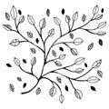 Vector black and white leaf Leaves pattern. Simple monochrome floral print. Leaf cute on white background. Hand drawn foliage Royalty Free Stock Photo