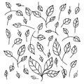 Vector black and white leaf Leaves pattern. Simple monochrome floral print. Leaf cute on white background. Hand drawn foliage Royalty Free Stock Photo