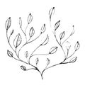 Vector black and white leaf Leaves pattern. Simple monochrome floral print. Leaf cute on white background. Hand drawn foliage Royalty Free Stock Photo