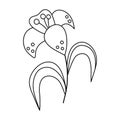Vector black and white lily icon. Easter symbol flower outline illustration or coloring page. Floral clip art. Cute spring plant Royalty Free Stock Photo