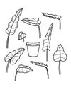 Vector black and white line illustration of houseplants.